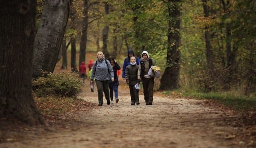Normafa kondipark - Konditerem, 12. kerület (3)