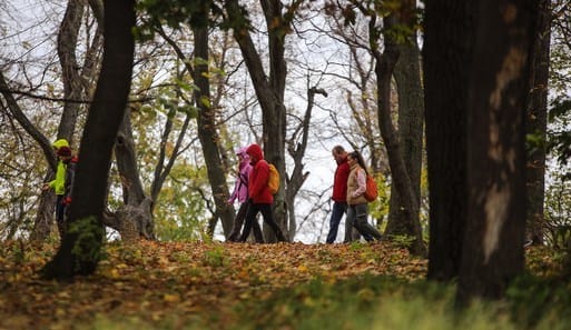 Normafa kondipark - Konditerem, 12. kerület (4)