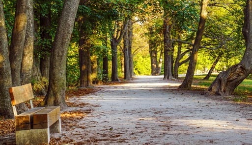 Normafa kondipark - Konditerem, 12. kerület (5)