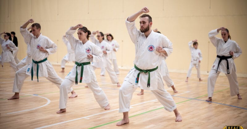 Karate-Do International ELTE-BEAC Dojo - Funkcionális, 14. kerület (2)