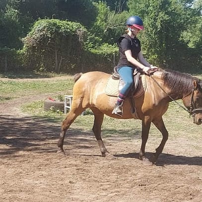 Kárpátia Lovasudvar - Lovarda, 17. kerület