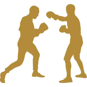 Artem Lapin – Boxing Coach