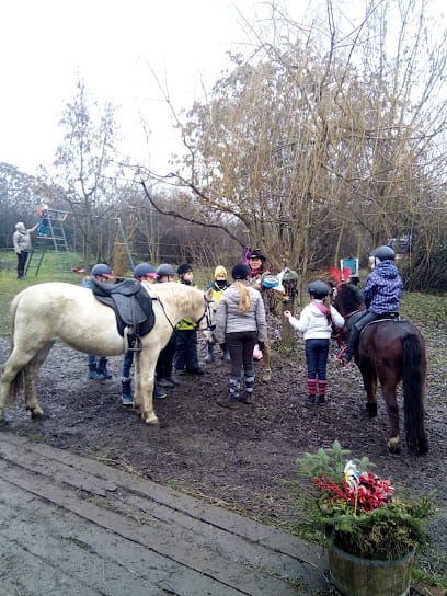 Banks Ranch - Lovarda, 11. kerület
