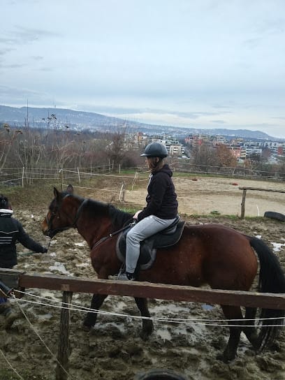 Gyöngyi Lovastanya - Lovarda, 11. kerület