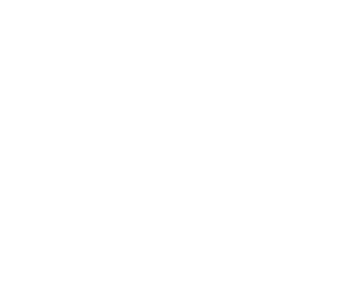 Holiday Fitness