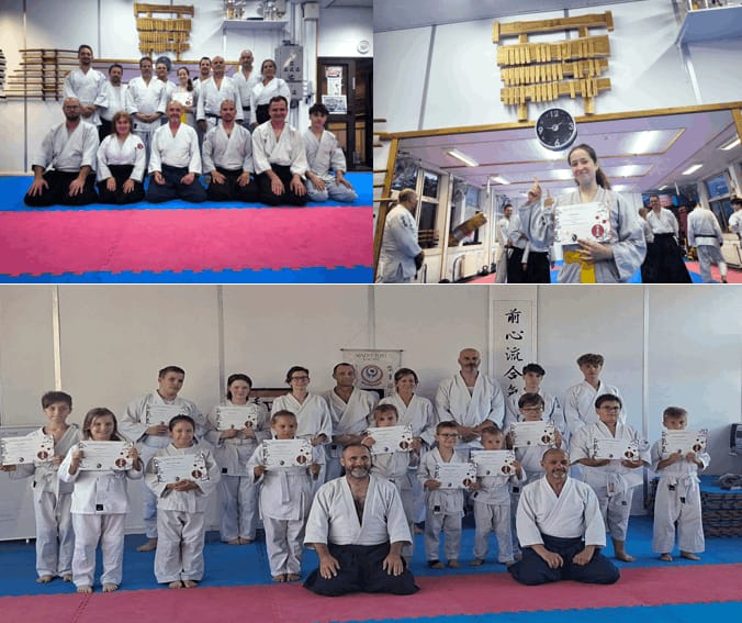 Zenshin Ryou Aikido Dojo - Konditerem, 18. kerület (2)