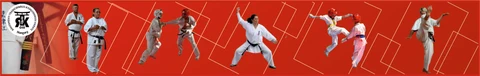 🥋 RTK Dojo SE.🥇