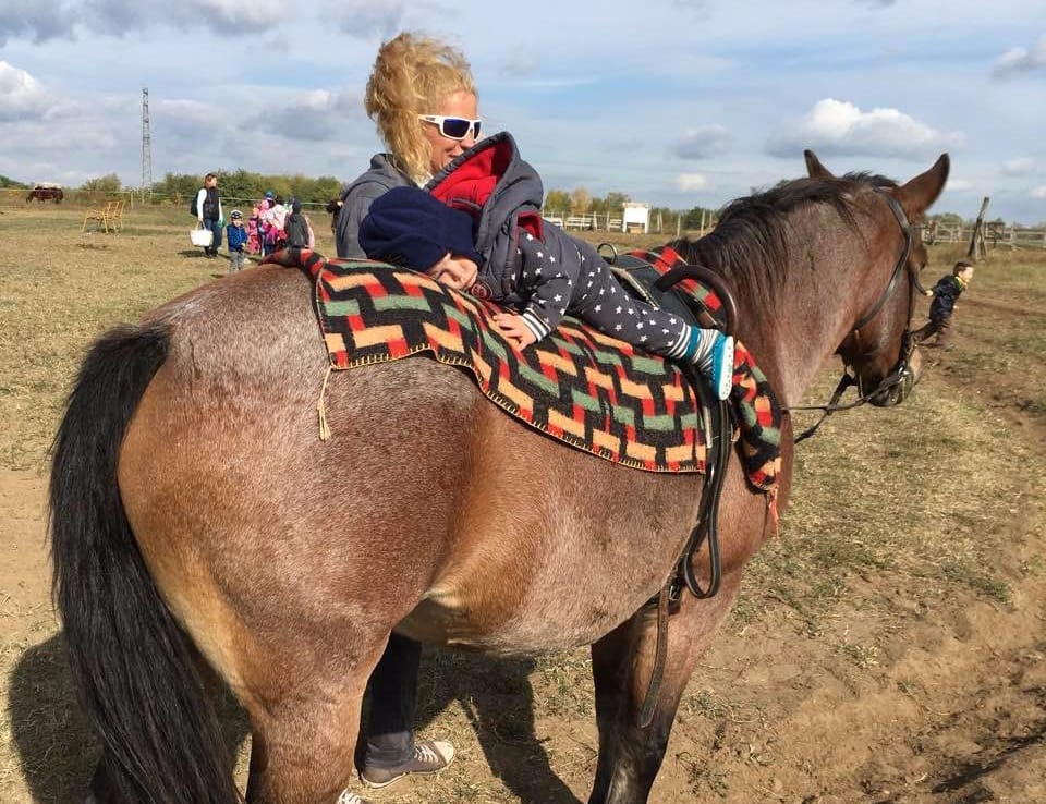 Hurrikánlovas Sportegyesület - Horse riding, District 17 (3)