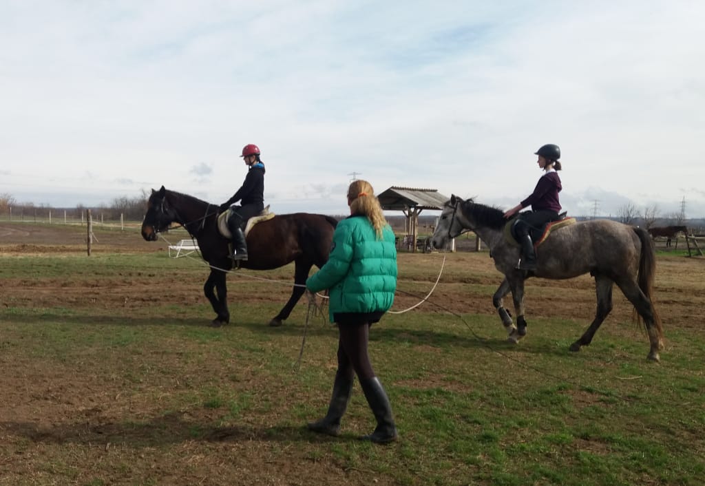 Hurrikánlovas Sportegyesület - Horse riding, District 17 (4)
