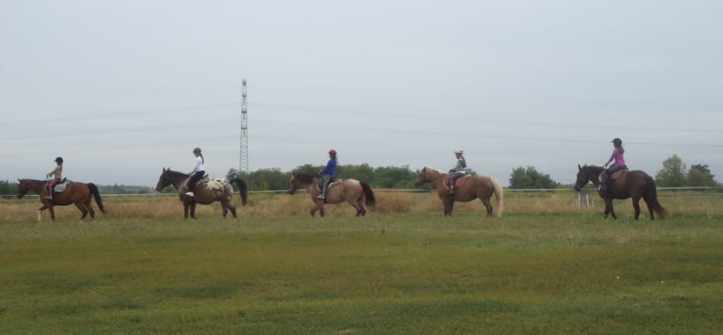 Hurrikánlovas Sportegyesület - Horse riding, District 17 (5)