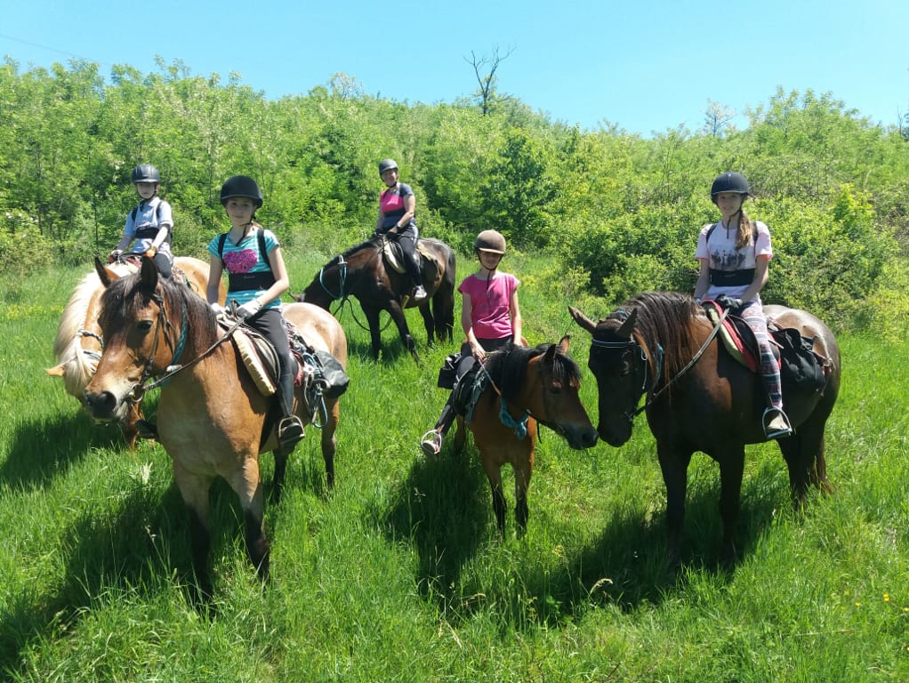 Hurrikánlovas Sportegyesület - Horse riding, District 17 (6)