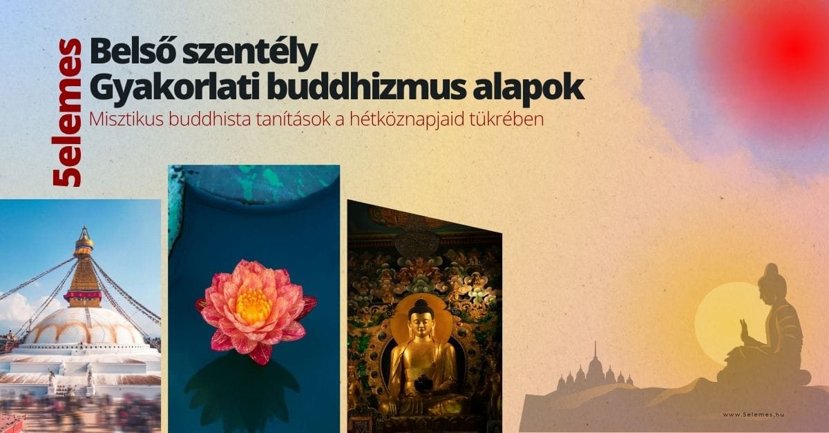 5 elemes - Taiji és Qigong edzés - Konditerem, 7. kerület (5)