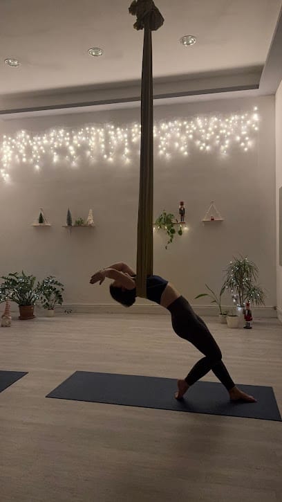 SzandiAerial - Upside Down Légtorna Stúdió - Yoga, District 6
