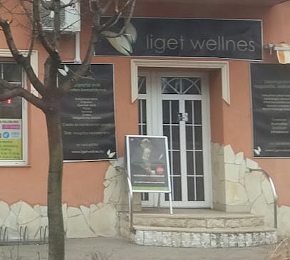 Liget Wellnes - Konditerem, 17. kerület