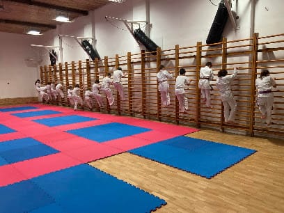Gorin Karate SE - Martial arts, District 19
