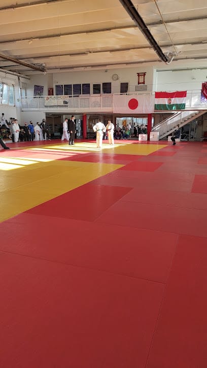 UTE Judo Szakosztály - Martial arts, District 4