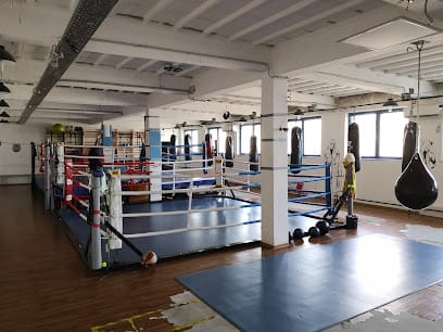 BoxAkadémia Ökölvívás - Konditerem, 13. kerület