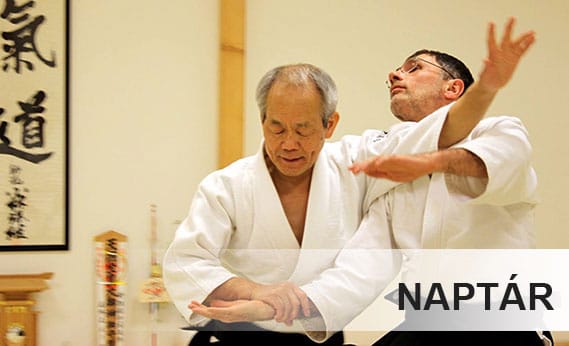 Shurenkan Aikido Sportegyesület - Martial arts, District 3 (4)
