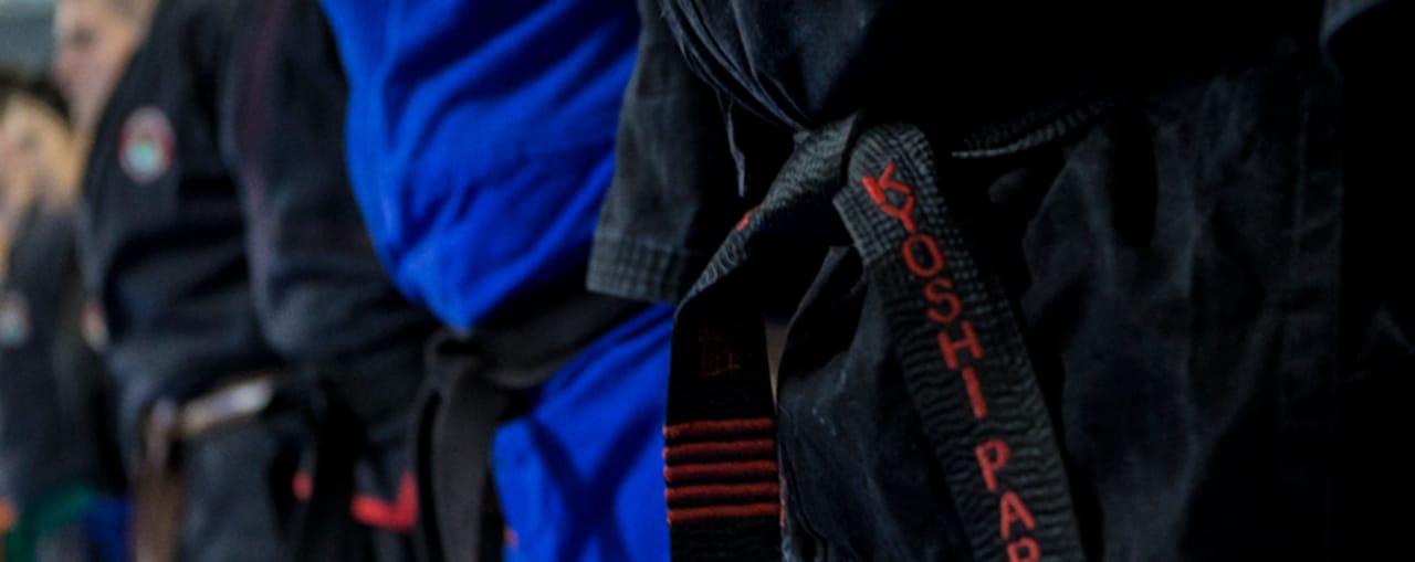 Bushido Honbu Kempo Klub - Gym, District 13 (3)