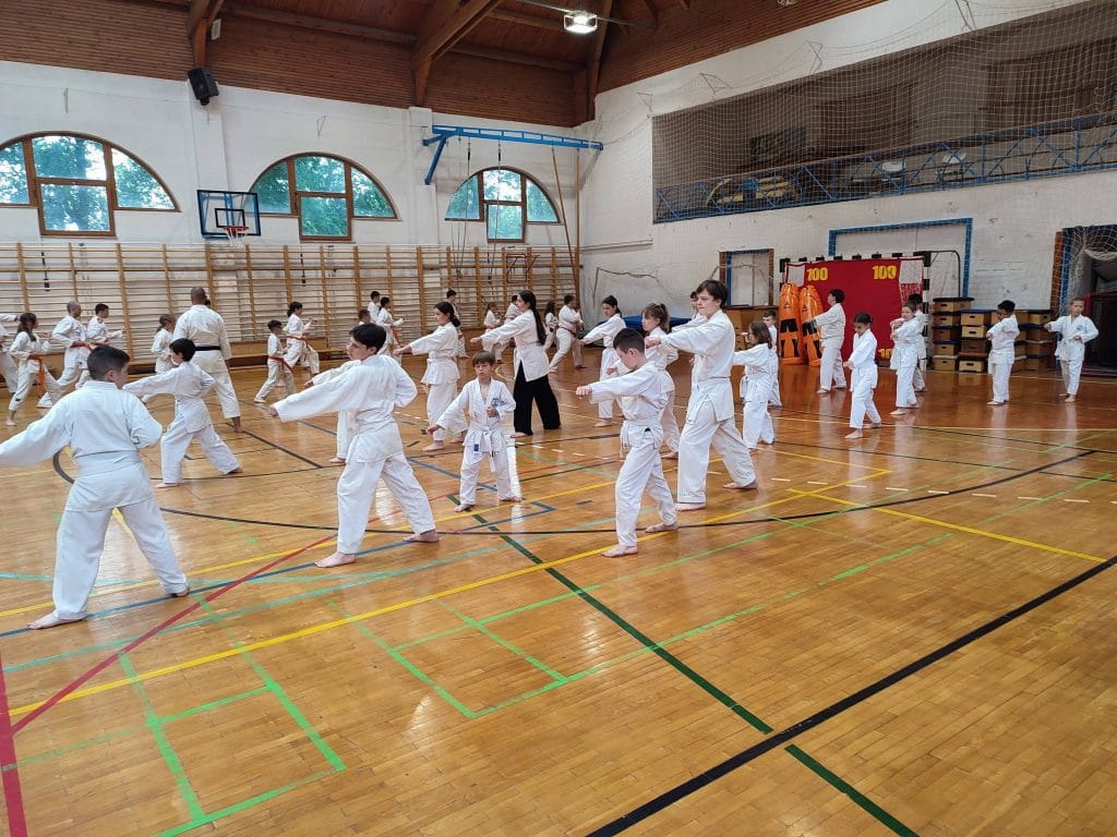 Mabuni SE Monori Dojo - Konditerem, 8. kerület (2)