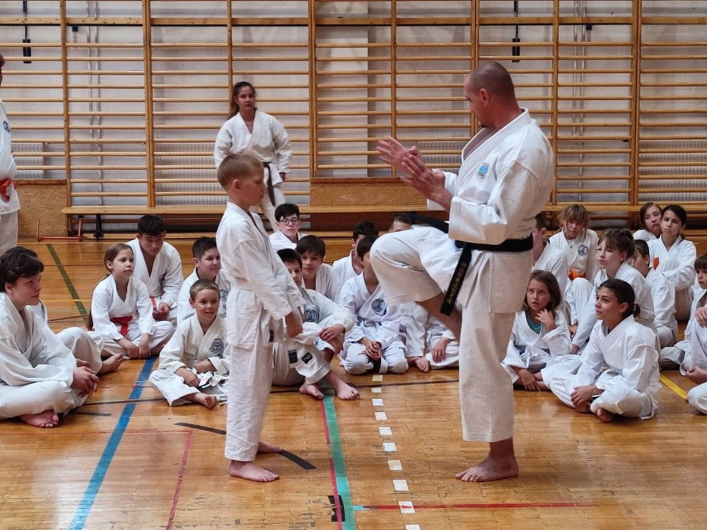 Mabuni SE Monori Dojo - Konditerem, 8. kerület (5)