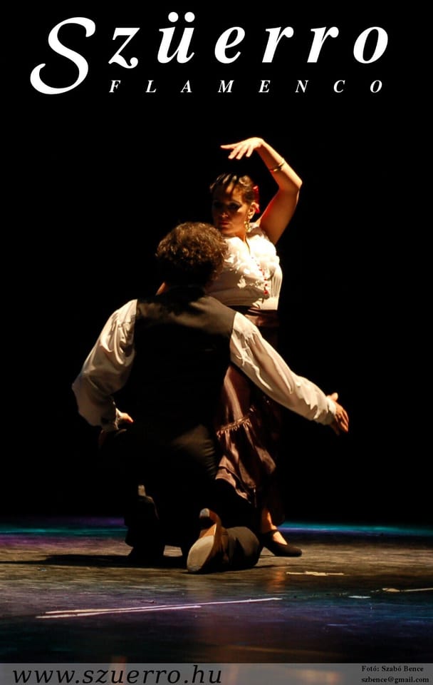 Szüerro Tánciskola és Kultúrtér - Dance, District 2 (6)