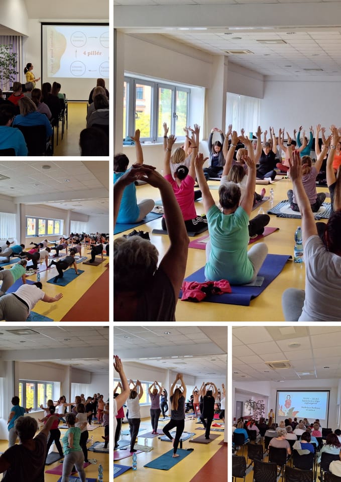 Peace Of Mind Yoga - Barkóczy Barbara - Gym, District 13 (4)