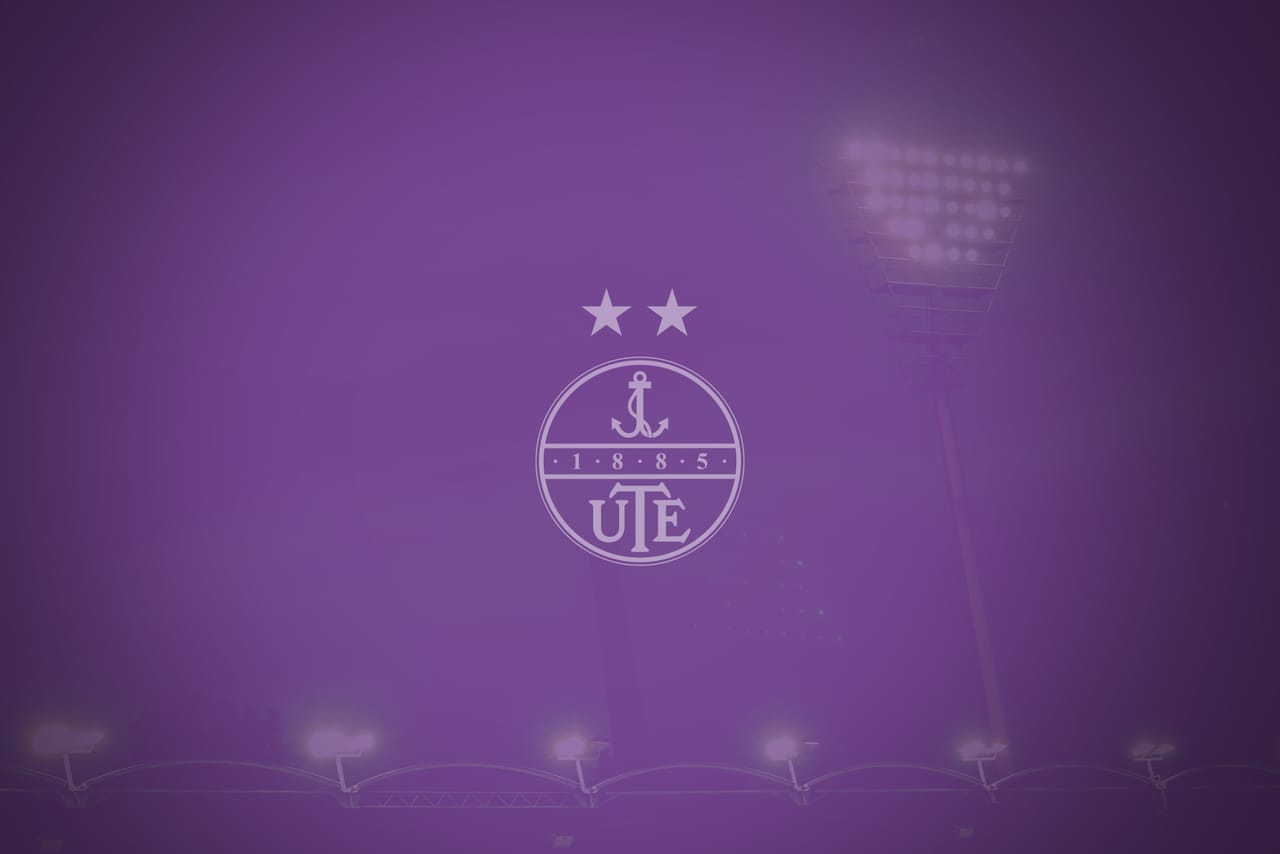Újpest Football Club, Labdarúgó Sportcentrum - Football pitch, District 4