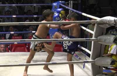 Reka Gym - Konditerem, 16. kerület (4)