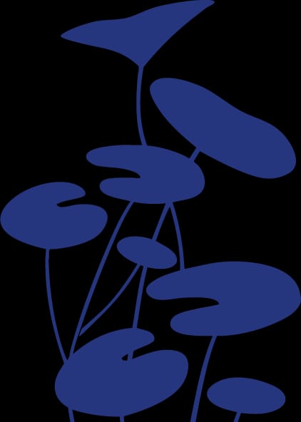 Nada Yoga - Konditerem, 1. kerület (3)