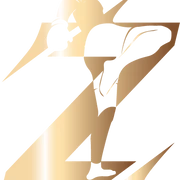 Zion Team